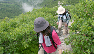 登山・ハイキング