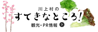 川上村のすてきなところ！（観光・PR情報）